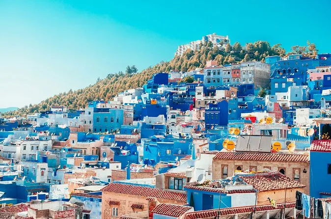 Blue and white houses of Chefchaouen climbing a pine-covered hill under a clear sky